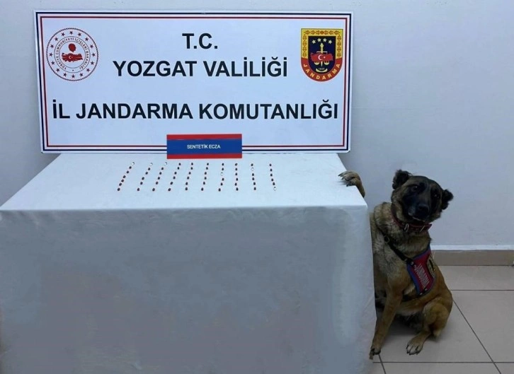 Yozgat’ta 61 adet uyuşturucu hap ele geçirildi