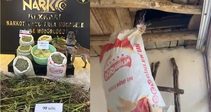 Yüksekova’da 72 kilo esrar 90 kök kenevir ele geçirildi