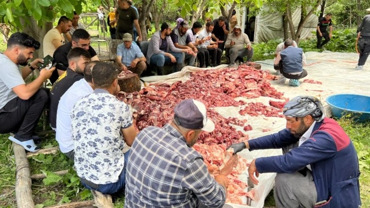 Yüksekova'da kurban etleri toplanıp, herkese eşit dağıtılıyor