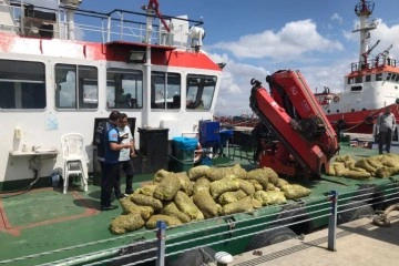 70 ton kaçak midye ele geçirildi, 1 milyon lira para cezası kesildi