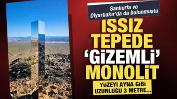 ABD'de bulunan gizemli monolit şaşkınlığa sebep oldu