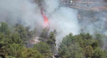 Adıyaman’daki orman yangını havadan görüntülendi