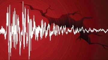 AFAD duyurdu! Adana'da korkutan deprem