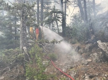 Akseki’deki orman yangınında 45 hektar alan zarar gördü