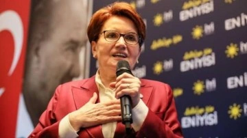 Akşener'den sert çıkış: Ahlaksızlık sahtekarlık! Gereğini yapmak benim için namus borcudur