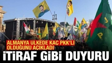 Almanya'dan itiraf gibi duyuru: Ülkelerinde kaç PKK'lı olduğunu açıkladılar