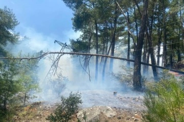 Antalya’da orman yangını