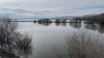 Ardahan'da Kura Nehri taştı