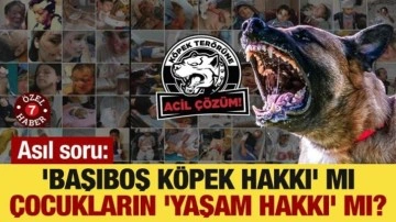 Asıl soru: 'Başıboş köpek hakkı' mı, çocukların 'yaşam hakkı' mı?