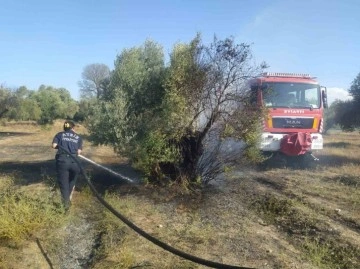 Aydın Büyükşehir İtfaiyesi’nden Umurlu’daki yangına hızlı müdahale