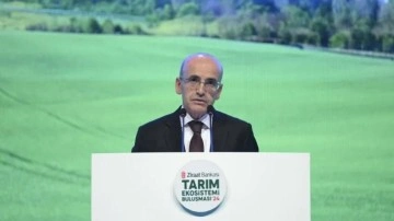 Bakan Mehmet Şimşek'ten döviz rezervi yorumu