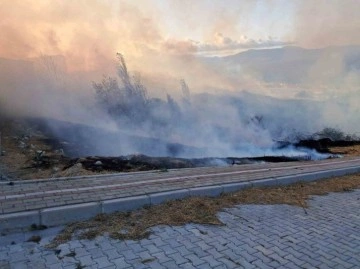 Bandırma’da otluk yangını evleri tehdit ediyor