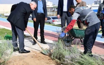 Başkan Çınar, Lavanta bahçelerini inceledi