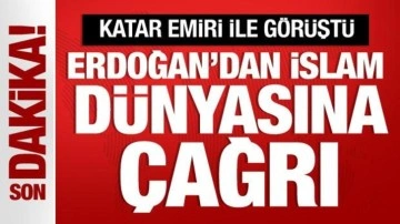 Başkan Erdoğan, Katar Emiri Al Sani ile görüştü