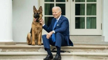 Biden’ın köpeği, gizli servis elemanlarını en az 24 kez ısırdı