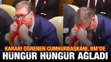 BM'de alınan Srebrenitsa kararı sonrası Sırbistan lideri hüngür hüngür ağladı