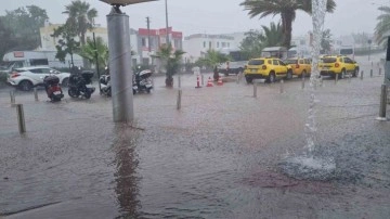 Bodrum’da Kasım bereketi