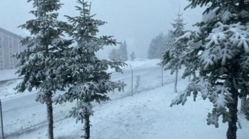 Bolu'da Nisan ayında lapa lapa kar yağdı