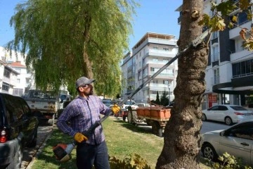 Bozüyük’te yeşil alanlarda çalışmalar devam ediyor