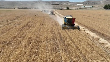 Buğday alım fiyatı için güncellenme talebi