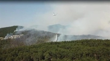 Bursa'da orman yangınına savcılık soruşturması