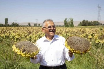 Büyükşehir’den ay çekirdeği üretiminde ilk sırada olan Kayseri’ye 5 kurutma sahası