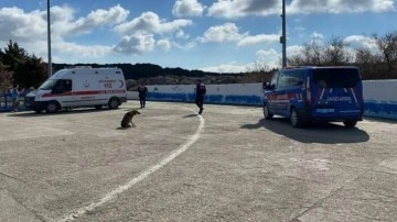 Çanakkale'de göçmenleri taşıyan bot battı: 2'si bebek 14 göçmen öldü