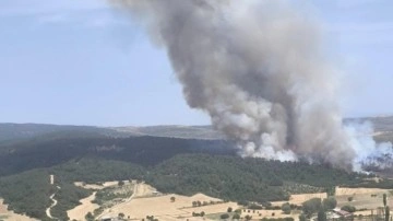 Çanakkale'de korkutan orman yangını