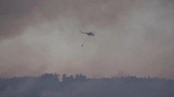 Çanakkale’deki orman yangınına havadan müdahale başladı