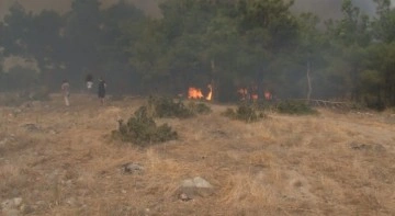 Çanakkale’deki orman yangınında can pazarı kameraya yansıdı