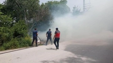 Defne'de ağaçlık alanda çıkan yangın söndürüldü