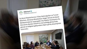 DEM'de zamanlama manidar: Alman elçiyle görüştüler, adayı açıkladılar!