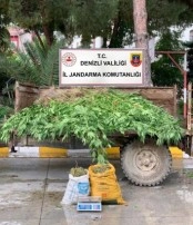 Denizli’de uyuşturucu ve kaçakçılık şüphelisi 154 kişi gözaltına alındı