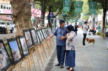 Depremin 24. yılına özel sergi