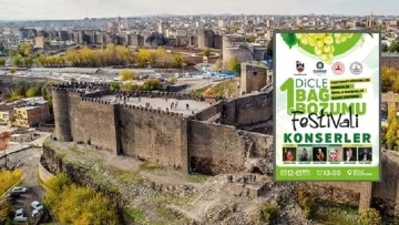 Diyarbakır’ın o ilçesinde festival: 5 sanatçı konser verecek!