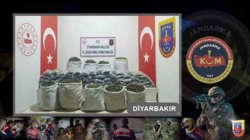 Diyarbakır’da 712 bin adet uyuşturucu madde türevleri ele geçirildi