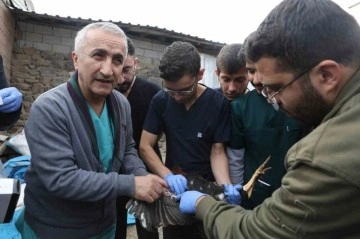 Diyarbakır’da veteriner hekim adayları saha çalışmalarına katıldı