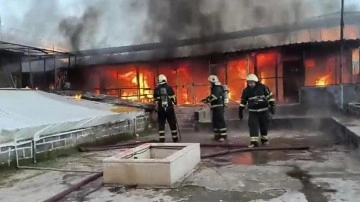 Diyarbakır'da yürek yakan yangın. Güvercin oteli alevlere teslim oldu. 300 güvercin öldü