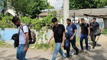 Edirne’de 24 kaçak göçmen yakalandı