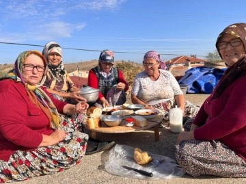 Edirne’de ’fakirin eti’ kuru fasulyenin zorlu hasat mesaisi