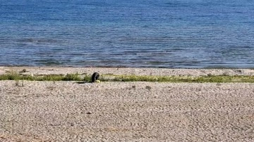 Eğirdir Gölü'ndeki el bombaları imha edilmek üzere çıkarıldı