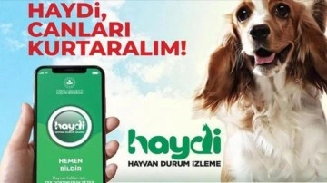 EGM'den, HAYDİ 'Hayvan Durum İzleme' mobil uygulaması