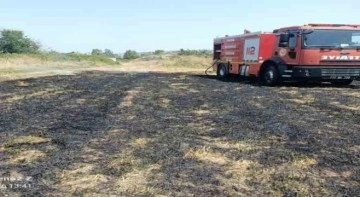 Elektrik tellerine çarpan kuş anız yangını çıkardı