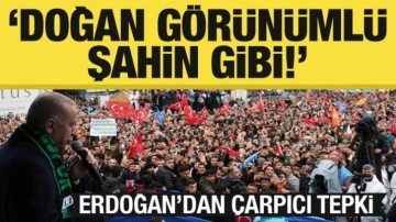 Erdoğan'dan çarpıcı tepki: Doğan görünümlü şahin gibi!