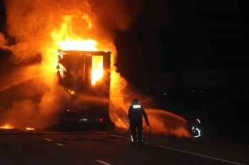 Erzincan’da mobilya yüklü tır alev alev yandı