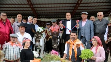 Eşeklere nikah kıyıp balayına gönderdiler: Şarkıcı Aydın Aydın da eşlik etti