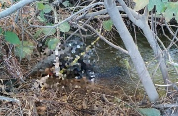 Eve gelmeyince arama çalışması başlatılmıştı, cansız bedeni bulundu