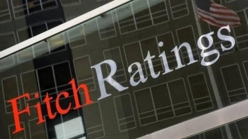 Fitch’ten Türkiye paneli