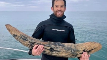 Fosil avcısı okyanusun derinliklerinde devasa diş buldu