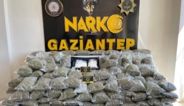 Gaziantep'te 80 kilo skunk ele geçirildi